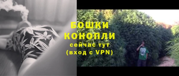 ПСИЛОЦИБИНОВЫЕ ГРИБЫ Беломорск