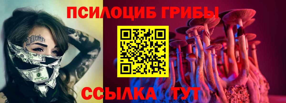 Галлюциногенные грибы GOLDEN TEACHER Воркута